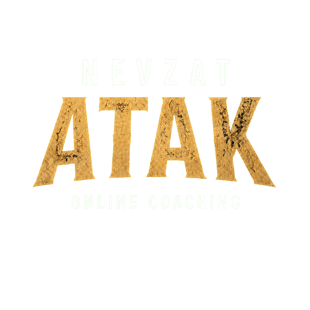 Nevzat Atak